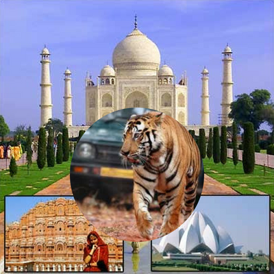 Golden Triangle With Tiger